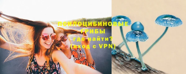 хмурый Лиски
