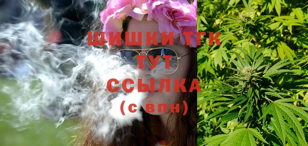 хмурый Лиски