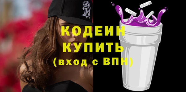 хмурый Лиски