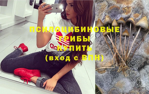 хмурый Лиски